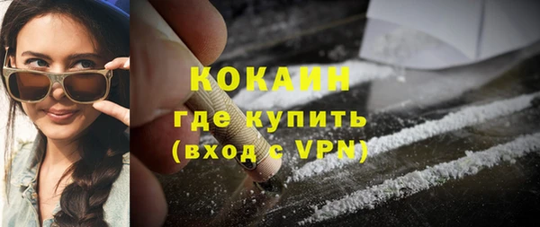 сатива Волоколамск