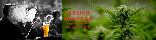 сатива Волоколамск