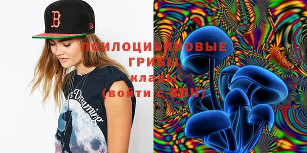 дурь Володарск